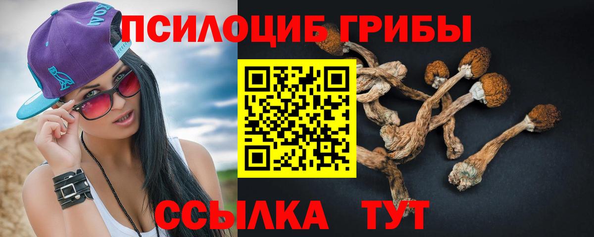Псилоцибиновые грибы MAGIC MUSHROOMS  магазин продажи наркотиков  Сердобск  Псилоцибиновые грибы Psilocybine cubensis  Вход с VPN 